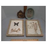Vintage framed preserved botanical & butterfly &