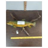 Golden trout wall mount. Case 25-004106-2187