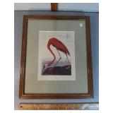 >Framed Flamingo artwork