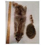 Raccoon pelt & hat faux fur