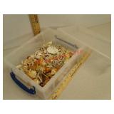 Seashells in clear tote with lid