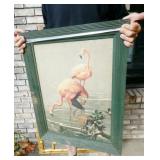 "Flamingos" #71 Print by Roger Tory Peterson