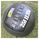 25lb Exercise Ball