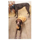 Jack & Gracie, Not For Sale :)