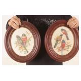 Born Art Products Co. Framed Bird Prints