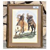 W/C Painted Print Fighting Bighorn Rams Noel Smith