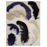 Antique Millinery Supplies & Hat Making Plumes