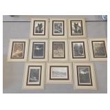 11 Old Photos Sheep Powder River Tensleep WY