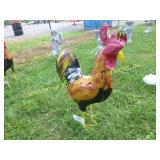30" MULTI COLOR METAL ORNAMENTAL ROOSTER