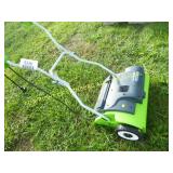 GREENWORKS ELECTRIC DETHATCHER