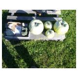 PUMPKINS & CONCRETE FIGURINES