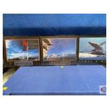 Inspirational Posters (3) framed. Size 22x28"