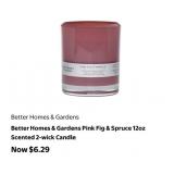 100 Pcs Better Homes & Gardens Pink Fig & Spruce