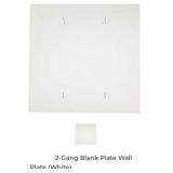 8 boxes of 100 pcs 2-Gang Blank Plate Wall Plate
