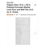 60 sq. Ft. MSI Calgary Onyx 16 in. x 32in.
