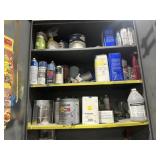 Two door metal cabinets with what you have been