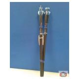 Arrow Carbon express