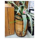 Barrel & faux plants