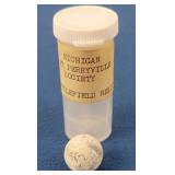 Michigan at Perryville Civil War Ball Ammo