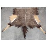 Cape Bushbuck Hide w/Hooves