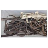 Horse Reins
