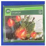 Red Indoor/Outdoor 25-Light String