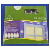 Clear Indoor/Outdoor 25-Light String