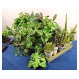 Faux Succulent Plants & Greenery in Basket (2)