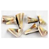 Natural Spiral Seashell Beads