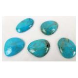 Blue Turquoise Egg Shape Stones (5)