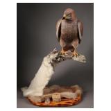 Hand-Carved Red-Tailed Hawk by Butch Frazier