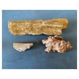Two-Piece Petrified Wood with Wood Burl Collection