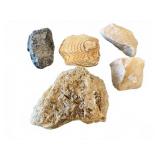Mineral & Quartz Rock Group
