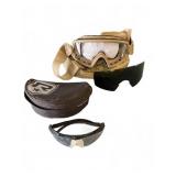 Revision Desert Locust Goggles & Sawfly Glasses