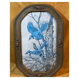 Domed Glass Framed Blue Bird Print