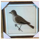 Spotted Flycatcher Framed Print