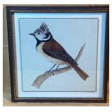 Framed Bird Illustration, Crested Tit