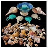 Shell and Coral Collection With Decor Items