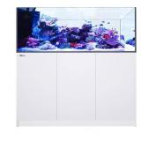 Red Sea Reefer Peninsula 650 Aquarium, 175 Gallons