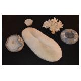 Natural Coral Skeletons and Agate Geodes