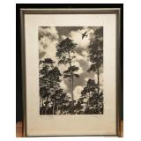 WWII Luftwaffe Junkers Ju 90 Photograph
