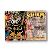 1993 Marvel Masterpieces Impel Comic Book TheBigToyAuction FP C012 183 14