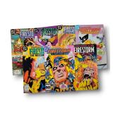 Firestorm the Nuclear Man Vol 2 1982 1990 Vint TheBigToyAuction C012 5311 18