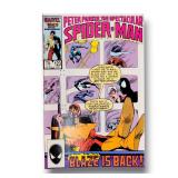 Peter Parker The Spectacular Spiderman 123 1987 TheBigToyAuction 
