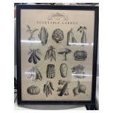 Vegetable Garden picture