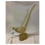 Mira o glass pheasant