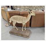 Reedbuck Animal Mount on rolling base