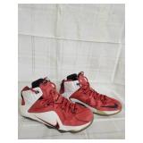 Nike LeBron heart of a lion basketball shoes s