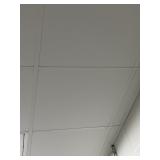Approximately 200 Ceiling Tiles