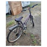 Mountain Bicycle